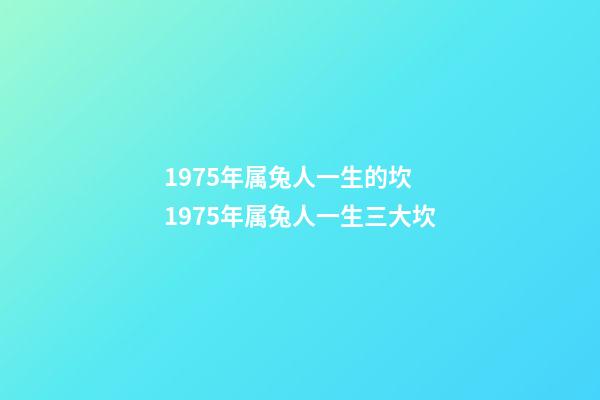 1975年属兔人一生的坎 1975年属兔人一生三大坎-第1张-观点-玄机派